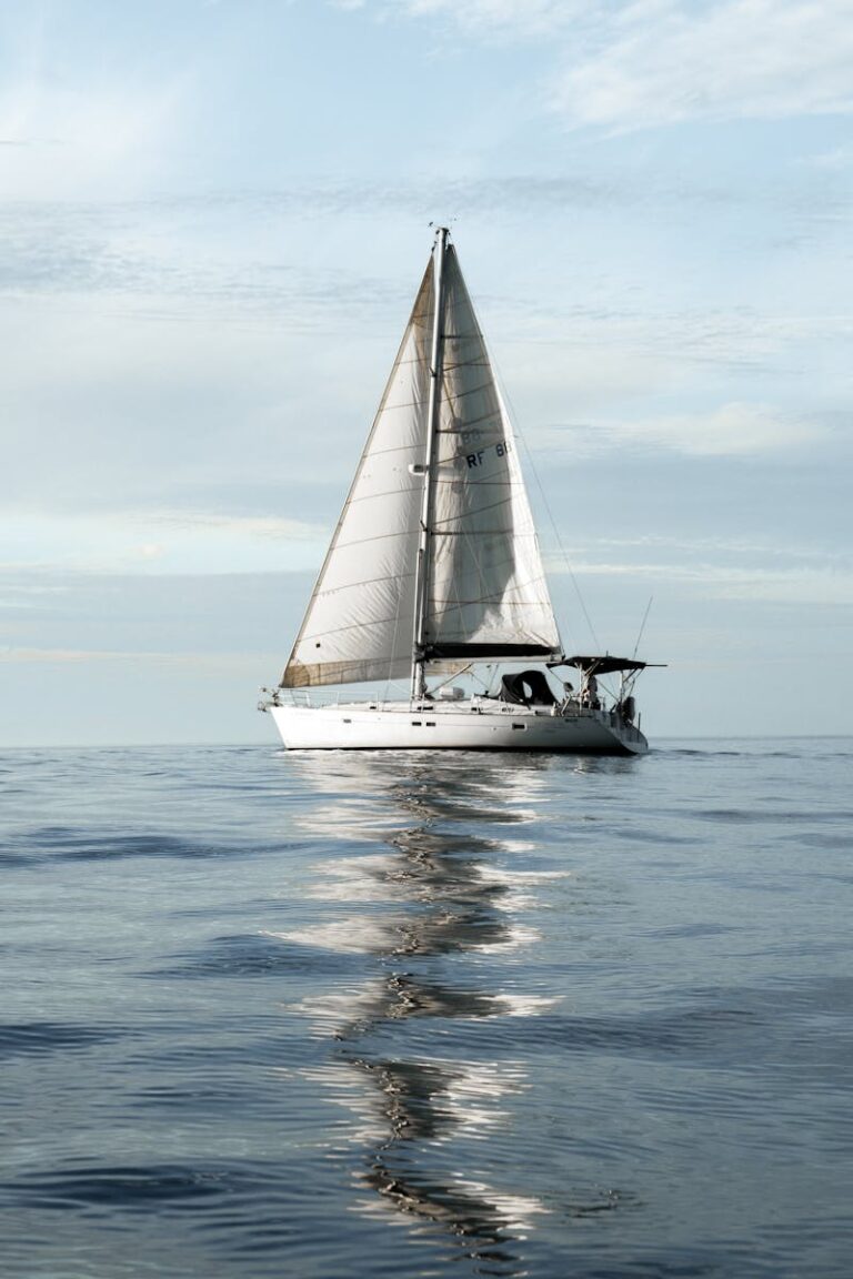 Types of Boats: Yachts (Level 3)