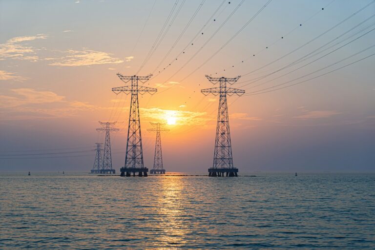 Making Electricity from the Sea (Level 1)